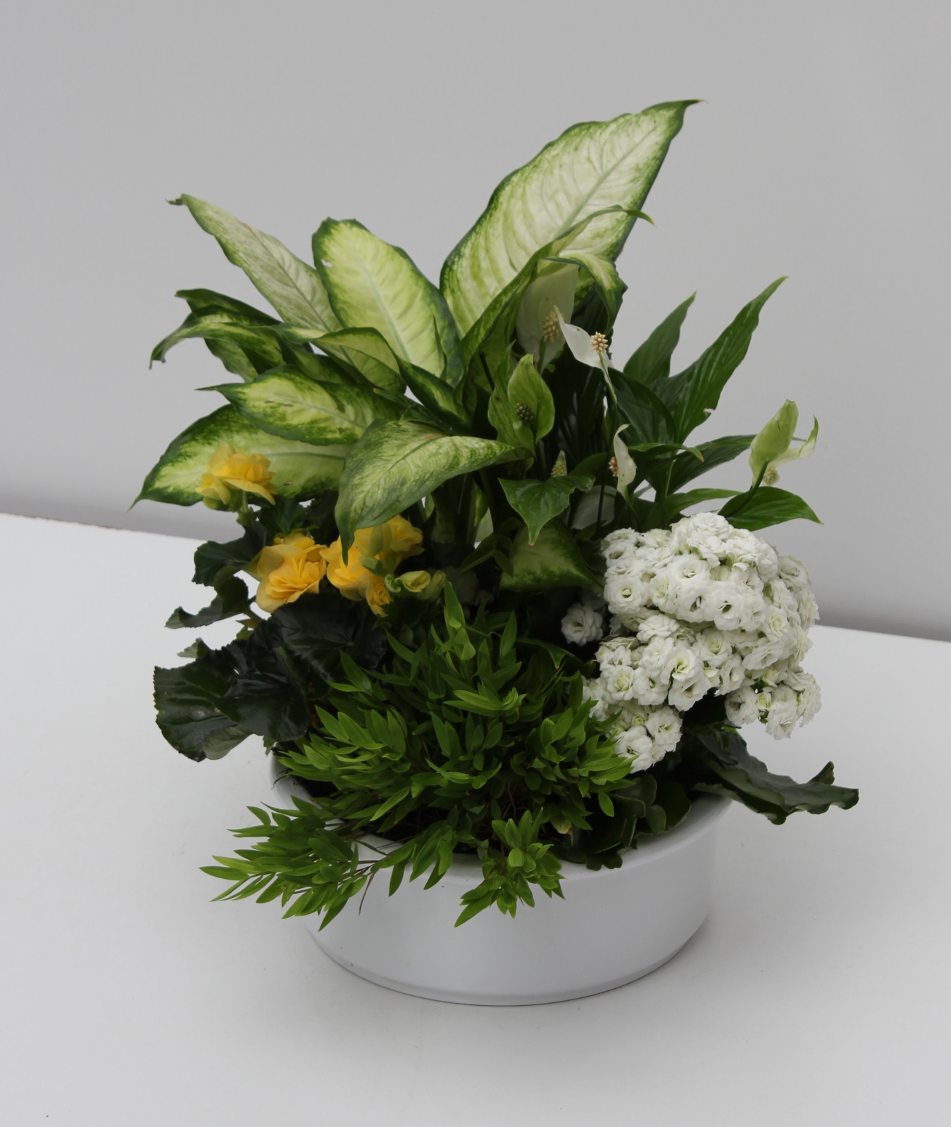 Thekenschale, weiß grün bepflanzt